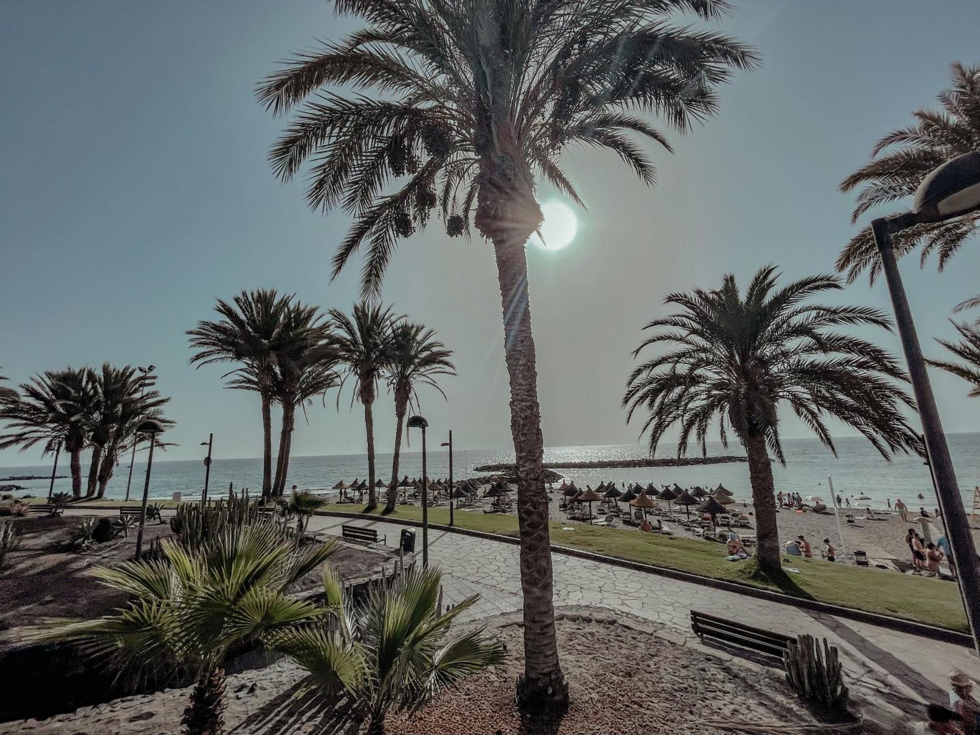 Viktoria Sur Lejlighed Playa de las Américas Eksteriør billede